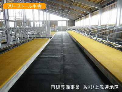 再編整備事業 あさひ上風連地区 フリーストール牛舎の写真