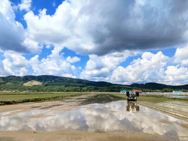 作業風景、農場全体写真