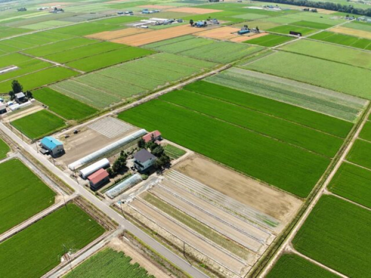 作業風景、農場全体写真