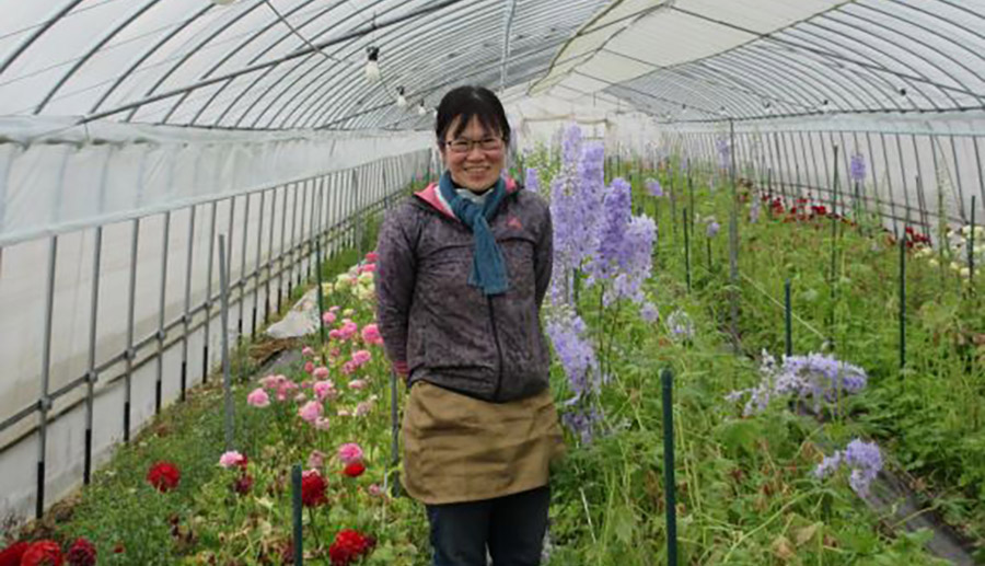 新ひだか町 Yさん