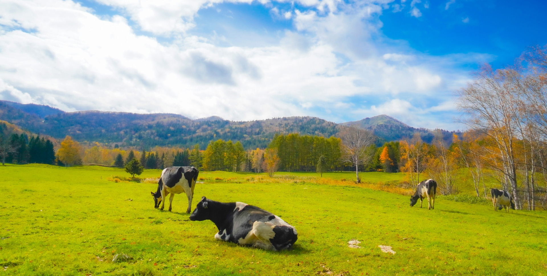 北海道農業公社