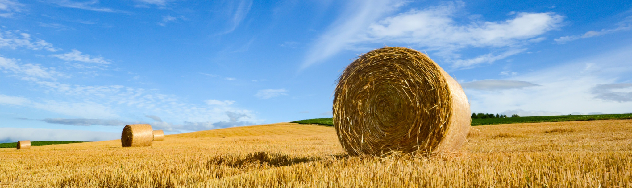 北海道の農業が持続的に発展するために