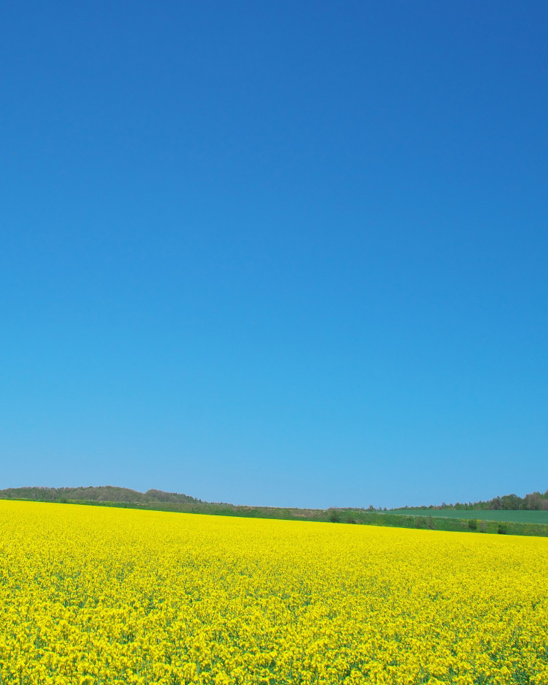 北海道の農業が持続的に発展するために